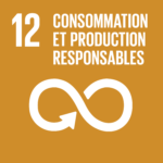Objectif-de-developpement-durable-12